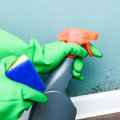 An In-Depth Look at Bleach Solutions for Killing Mold