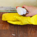 Mold Removal Cleanup: An Essential Guide