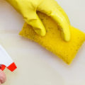 Mold Inspection Services: Everything You Need to Know