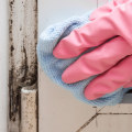 Scrubbing Surfaces to Remove Mold: A Cleaning Up Tips Guide