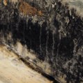 Using Bleach to Kill Black Mold Spores