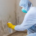 Sampling of Surfaces and Air: A Professional Mold Removal and Mold Testing Services Guide