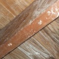 Using Detergent to Remove Basement Mold