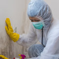 A Comprehensive Overview of Mold Testing Services