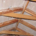 Inspecting Attic Spaces for Signs of Moisture