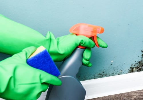 An In-Depth Look at Bleach Solutions for Killing Mold