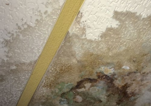 Understanding Drywall and Mold Growth