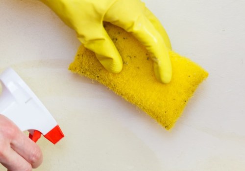 Mold Inspection Services: Everything You Need to Know
