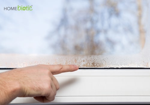 Using Dehumidifiers to Reduce Humidity Levels and Prevent Attic Mold Growth