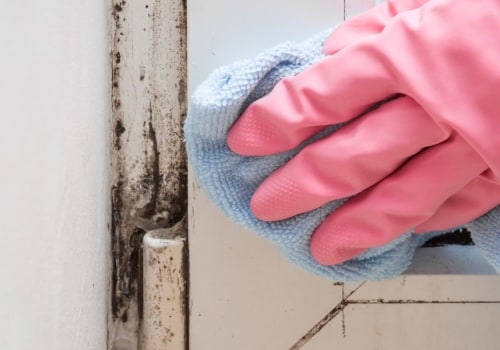 Scrubbing Surfaces to Remove Mold: A Cleaning Up Tips Guide