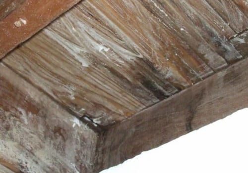 Mold Treatment Solutions: All About Borax Solutions for Killing Mold