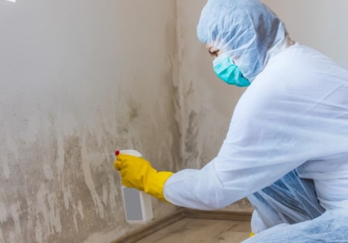 Sampling of Surfaces and Air: A Professional Mold Removal and Mold Testing Services Guide