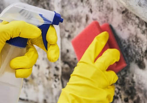 Effective Ways to Remove Mold Using Detergent