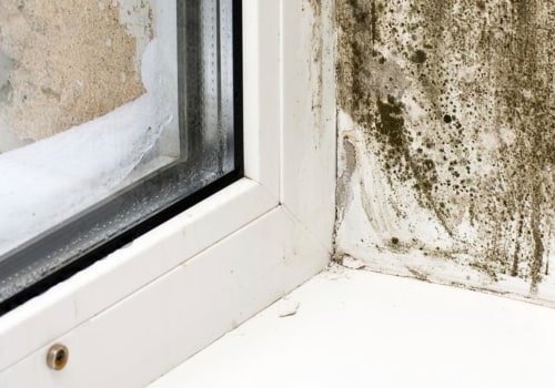 Ventilation and Mold Growth in Kitchens: What You Need to Know