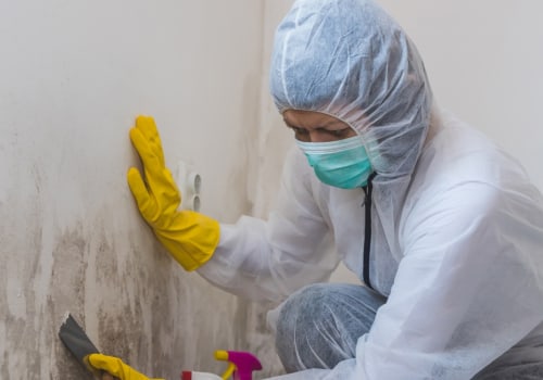 A Comprehensive Overview of Mold Testing Services