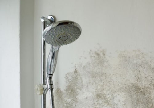 Understanding Bathroom Ventilation and Mold Growth
