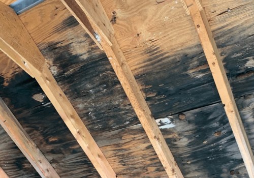 Checking for Visible Signs of Attic Mold Growth